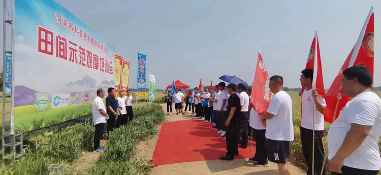 图片8 尊龙凯时人生就是搏(中国区)官方网站