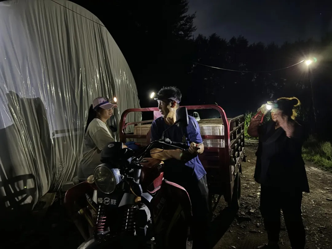 尊龙凯时人生就是搏(中国区)官方网站
